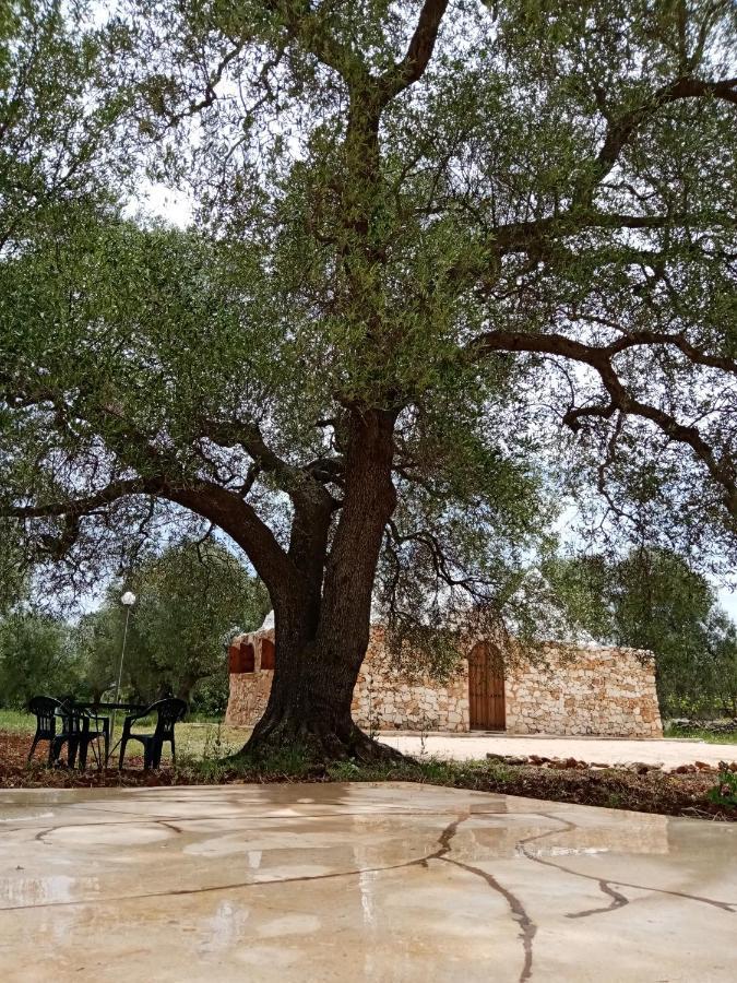 Trulli Monte Madre San Vito dei Normanni Exterior foto