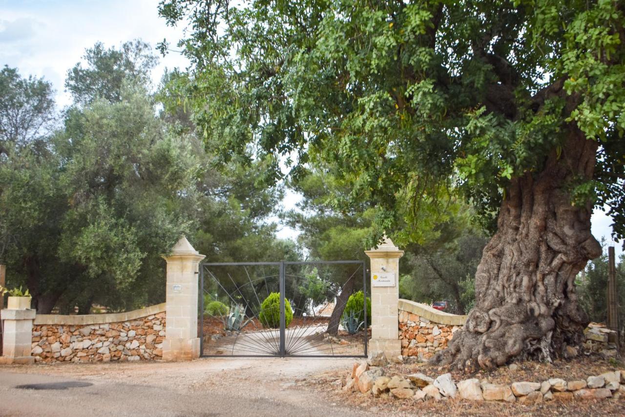Trulli Monte Madre San Vito dei Normanni Exterior foto